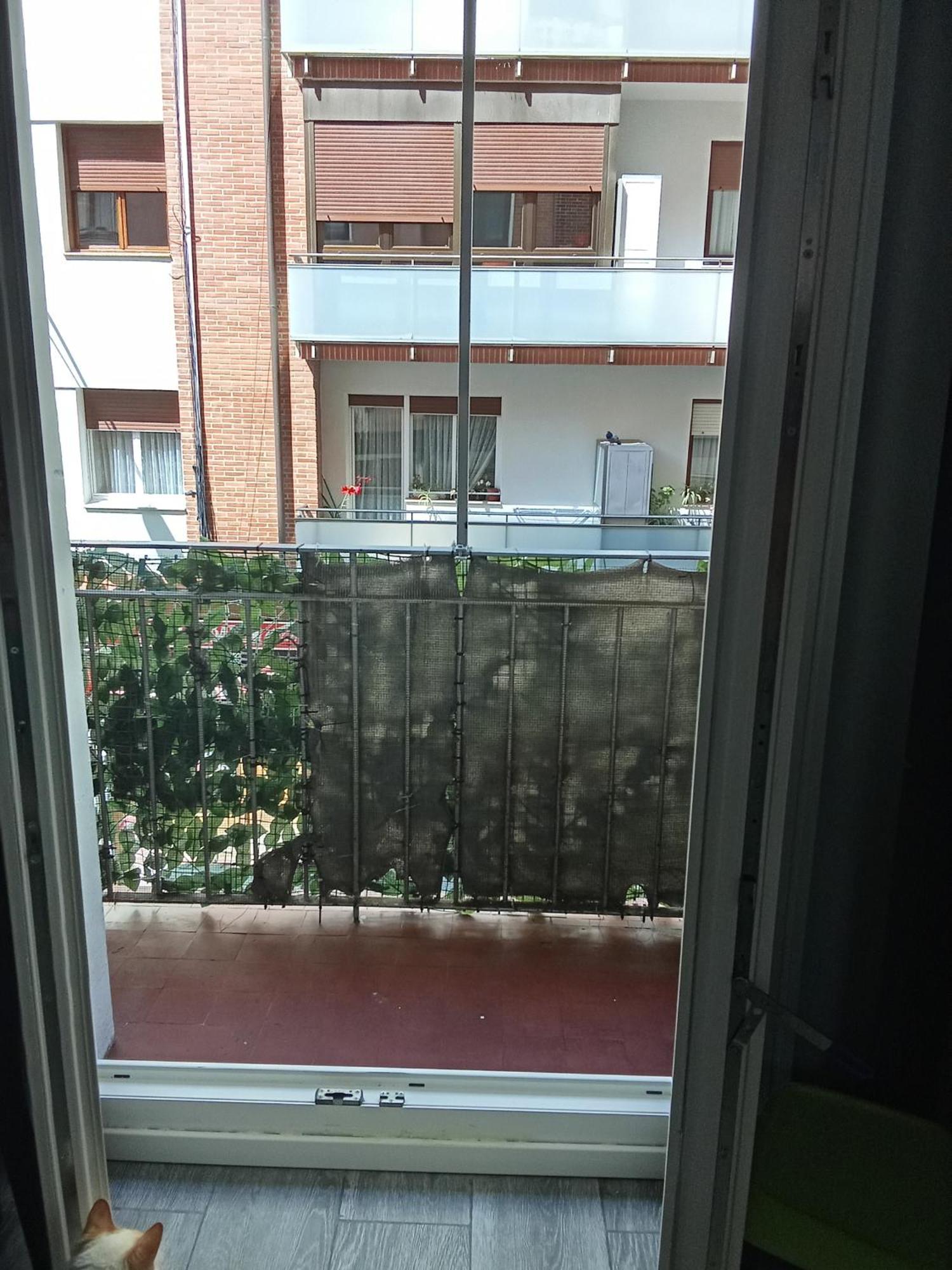Apartment Habitacion